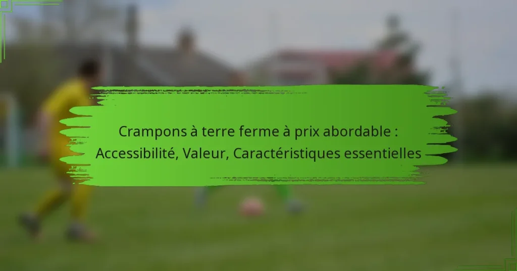 Crampons à terre ferme à prix abordable : Accessibilité, Valeur, Caractéristiques essentielles