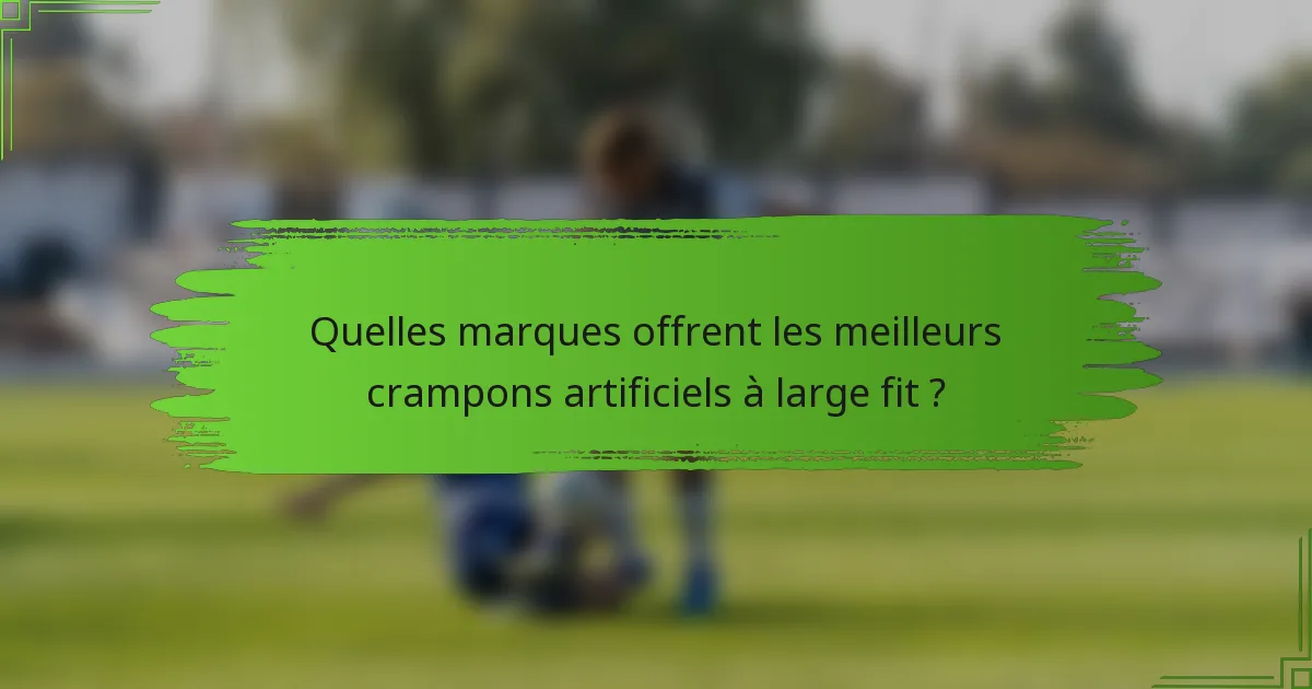 Quelles marques offrent les meilleurs crampons artificiels à large fit ?